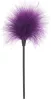 TOYJOY – CSAK NEKED SZUPER SZEX BOMB BOX