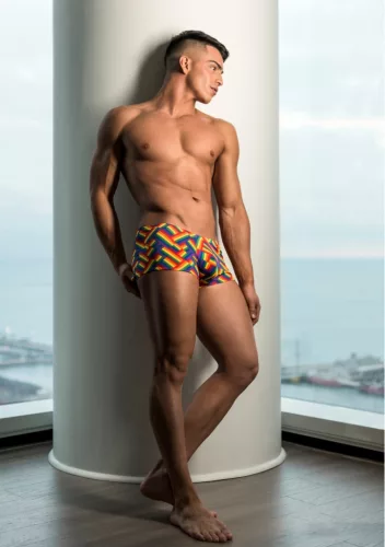 Boxer PRIDE FEST-S