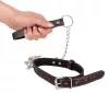 Bad Kitty Collar And Leash