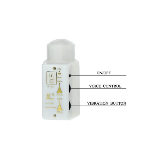 BAILE - MR. BIG REALISTIC PÉNISZ ÉS VÉGBÉLNYÍLÁS MASZTURBÁTOR