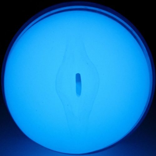 KIIROO - ÉREZD A GLOW IN THE DARK STROKER