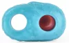 Yosnex – prémium péniszburkolat 15 x 5 cm