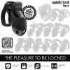 ADDICTED TOYS LOCKED – zárható péniszketrec (M)