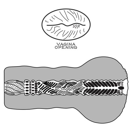 Alien's Pie Masturbator #1_B15O50_3