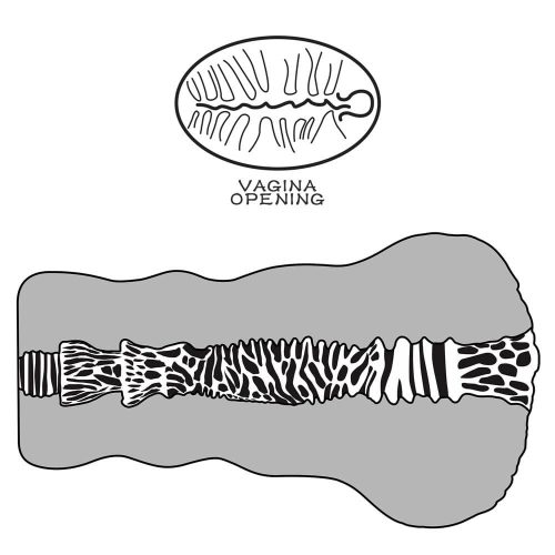 Alien's Pie Masturbator #2 Black_B15O50_3