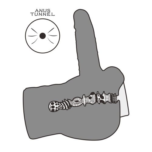 Streetgirl's #14 mit Bendable Dildo