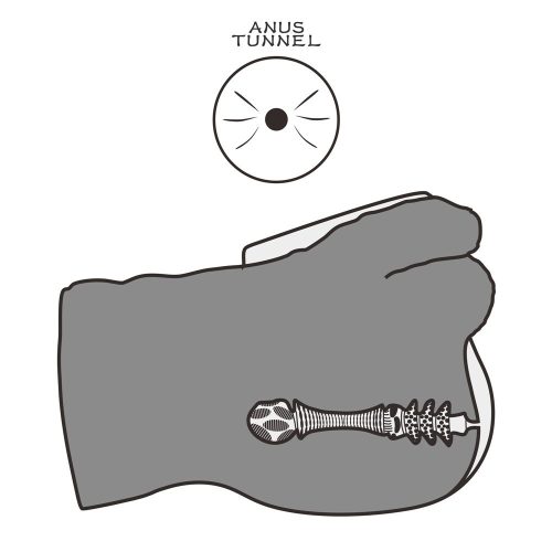 Streetgirl's #16 mit Dildo