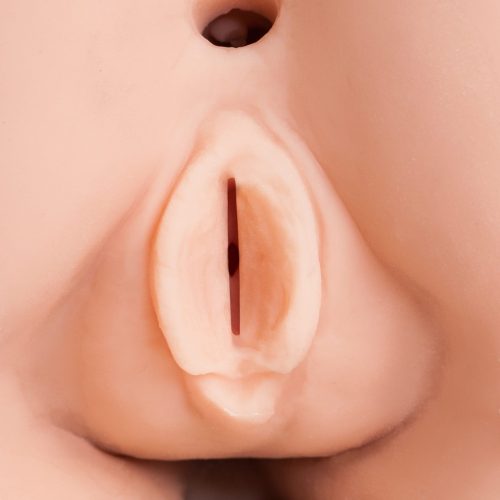 XXX To-Go mit CONTROLLER III