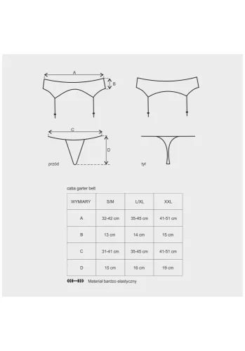 Catia garter belt & thong L/XL