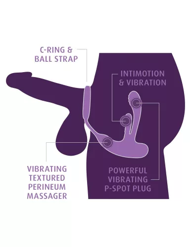 Ass-Gasm IntiMotion