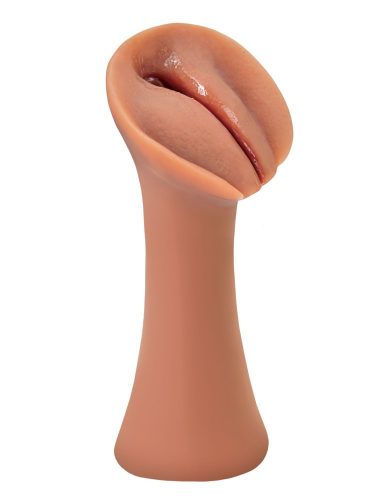 Nasse Muschien – Glitschige Schlitzbräune