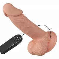 Rotierende Vibratoren