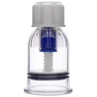 Analpumpe
